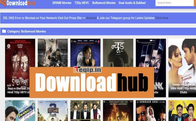 DOWNLOADHUB